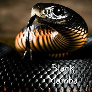 Meet your Posher, Sheila